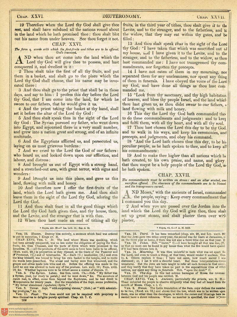 The Haydock Douay Rheims Bible page 0533