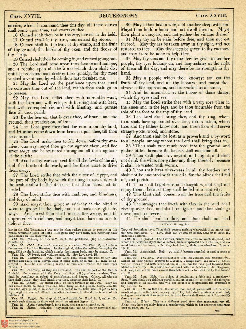 The Haydock Douay Rheims Bible page 0536