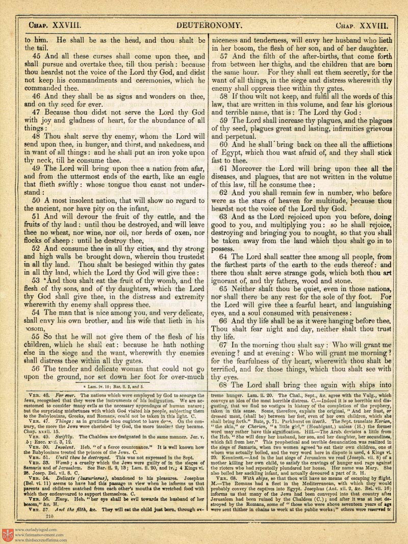 The Haydock Douay Rheims Bible page 0537