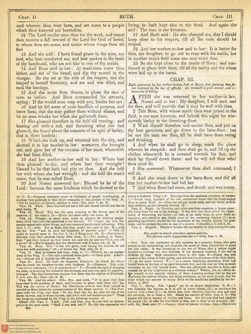 The Haydock Douay Rheims Bible page 0611