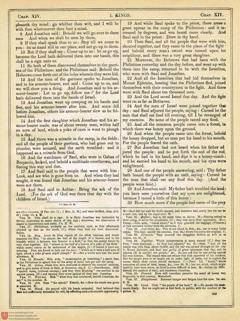 The Haydock Douay Rheims Bible page 0630