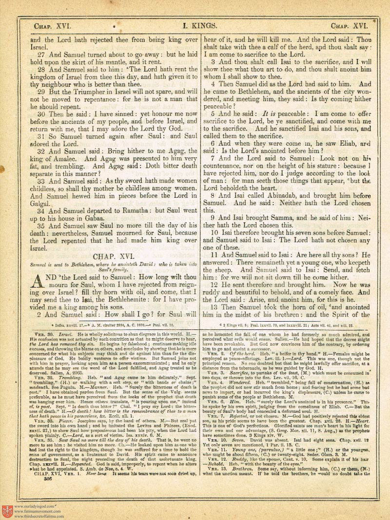 The Haydock Douay Rheims Bible page 0633