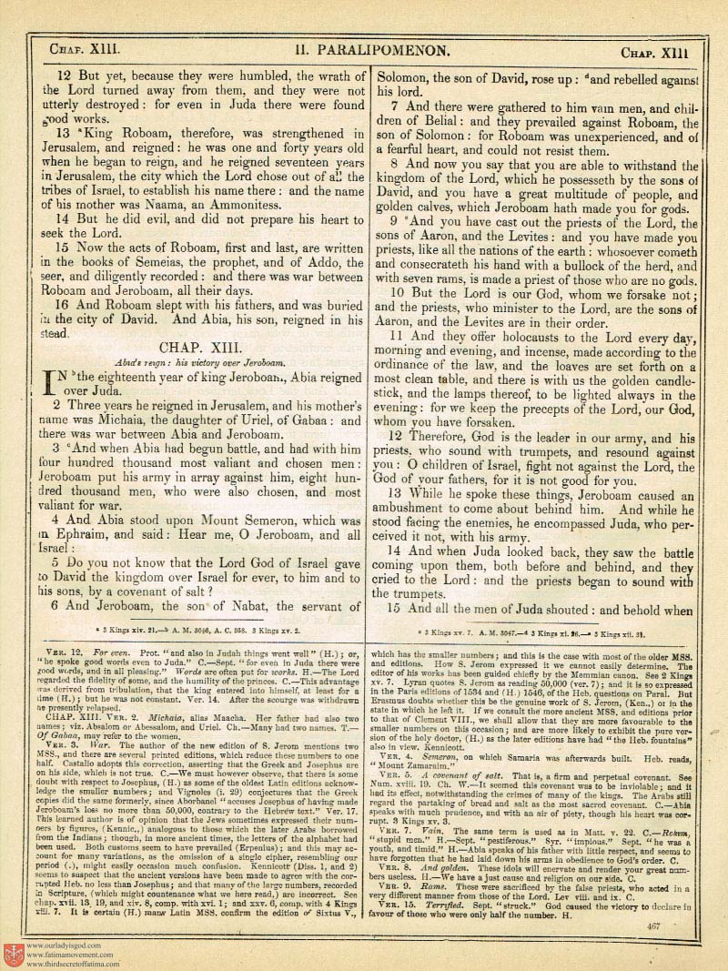 The Haydock Douay Rheims Bible page 0802