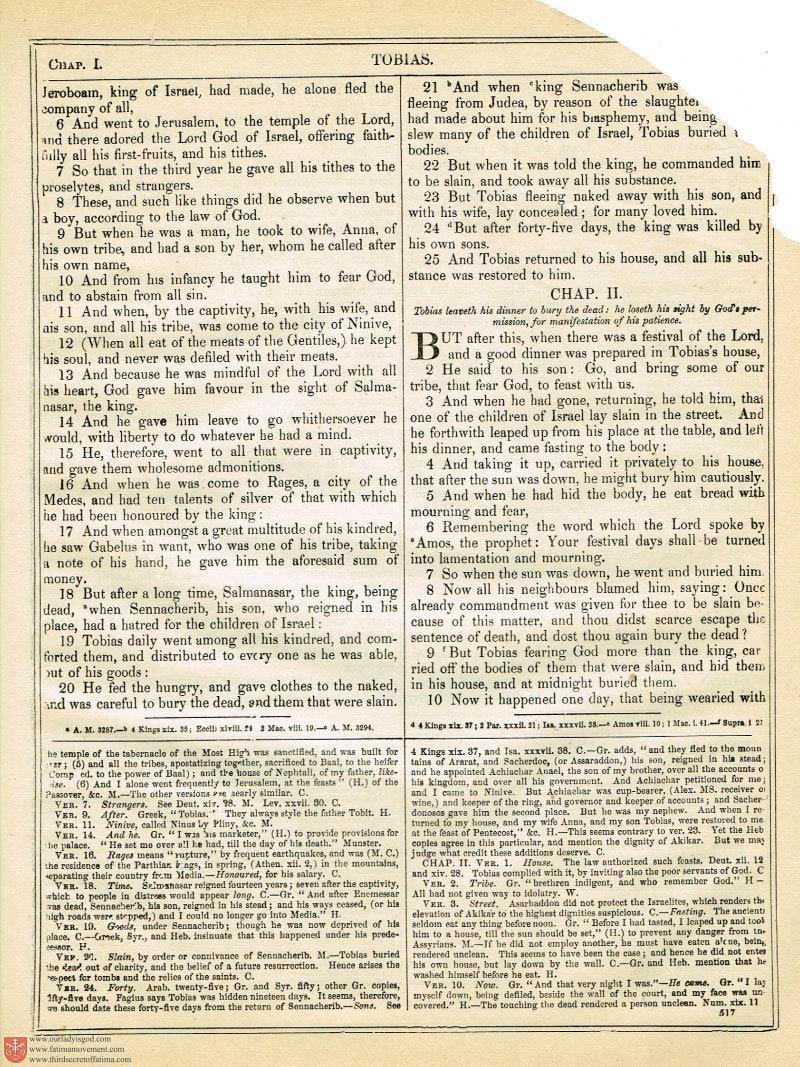 The Haydock Douay Rheims Bible page 0852