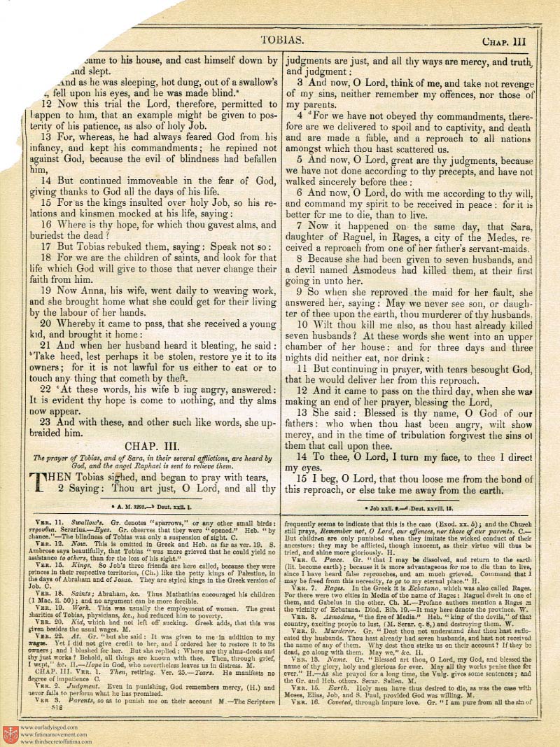 The Haydock Douay Rheims Bible page 0853