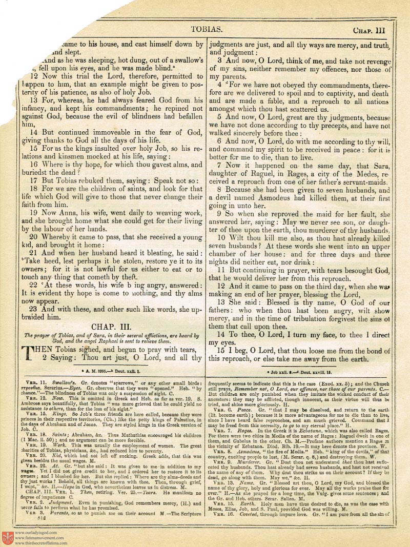The Haydock Douay Rheims Bible page 0000