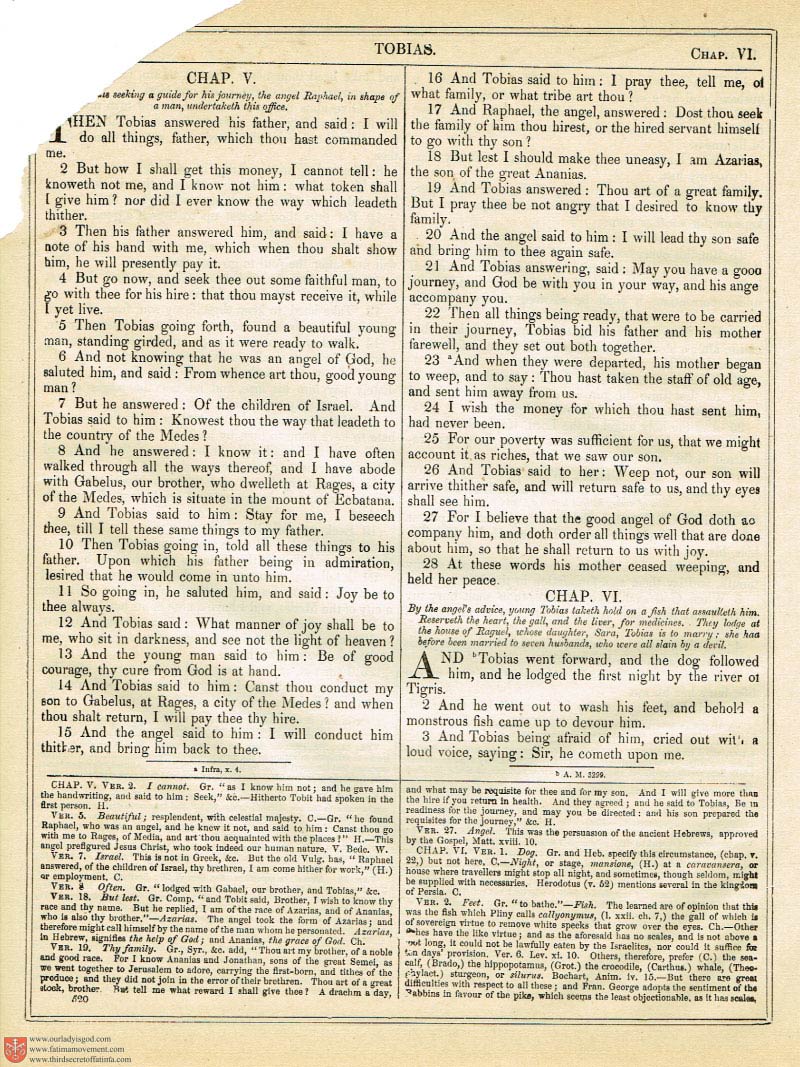 The Haydock Douay Rheims Bible page 0000