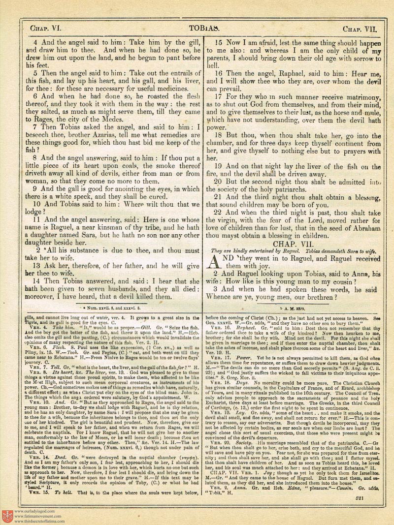 The Haydock Douay Rheims Bible page 0856