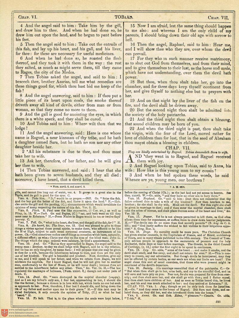 The Haydock Douay Rheims Bible page 0000