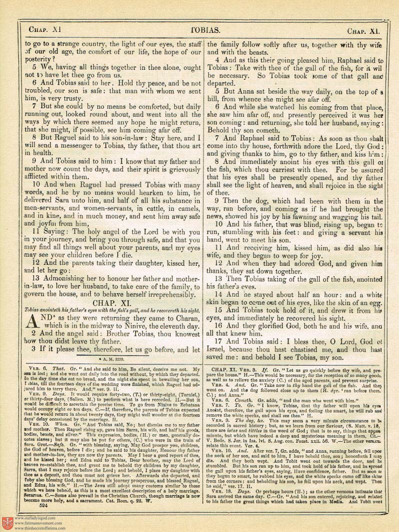 The Haydock Douay Rheims Bible page 0859