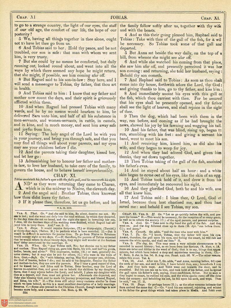 The Haydock Douay Rheims Bible page 0000