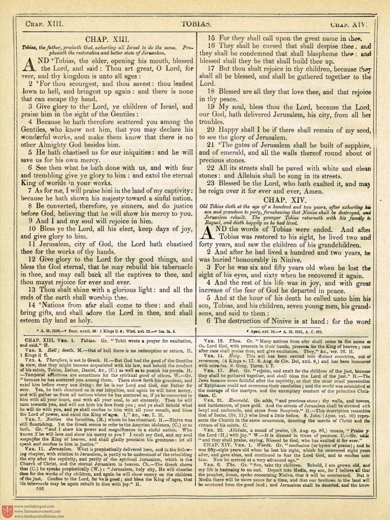 The Haydock Douay Rheims Bible page 0861