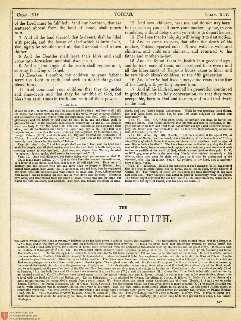 The Haydock Douay Rheims Bible page 0862