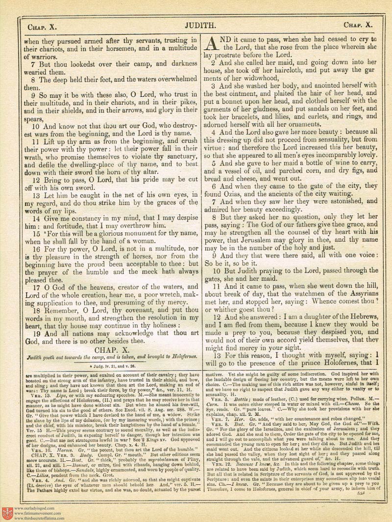The Haydock Douay Rheims Bible page 0870