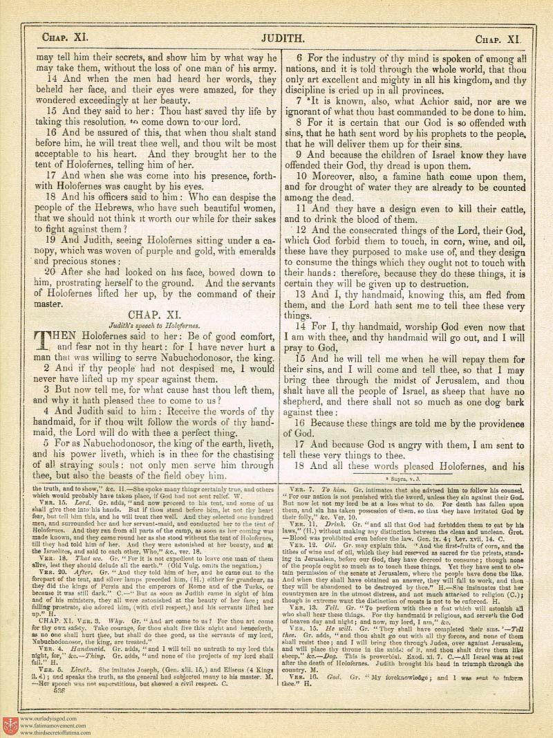 The Haydock Douay Rheims Bible page 0871