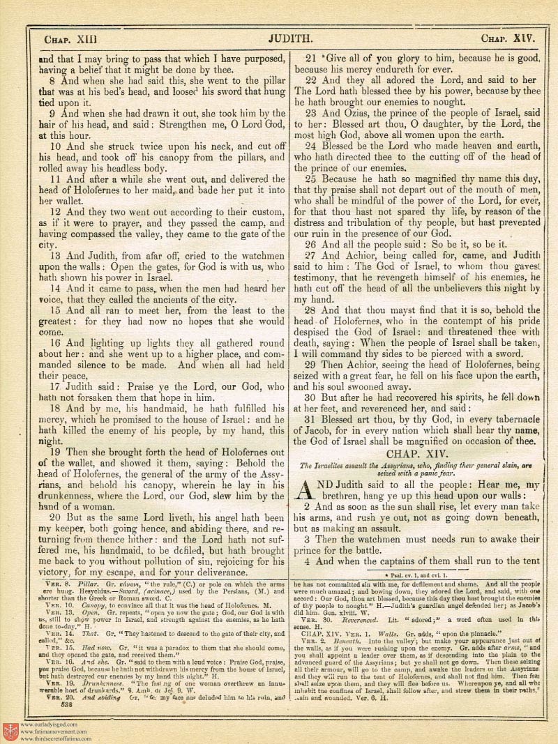 The Haydock Douay Rheims Bible page 0873
