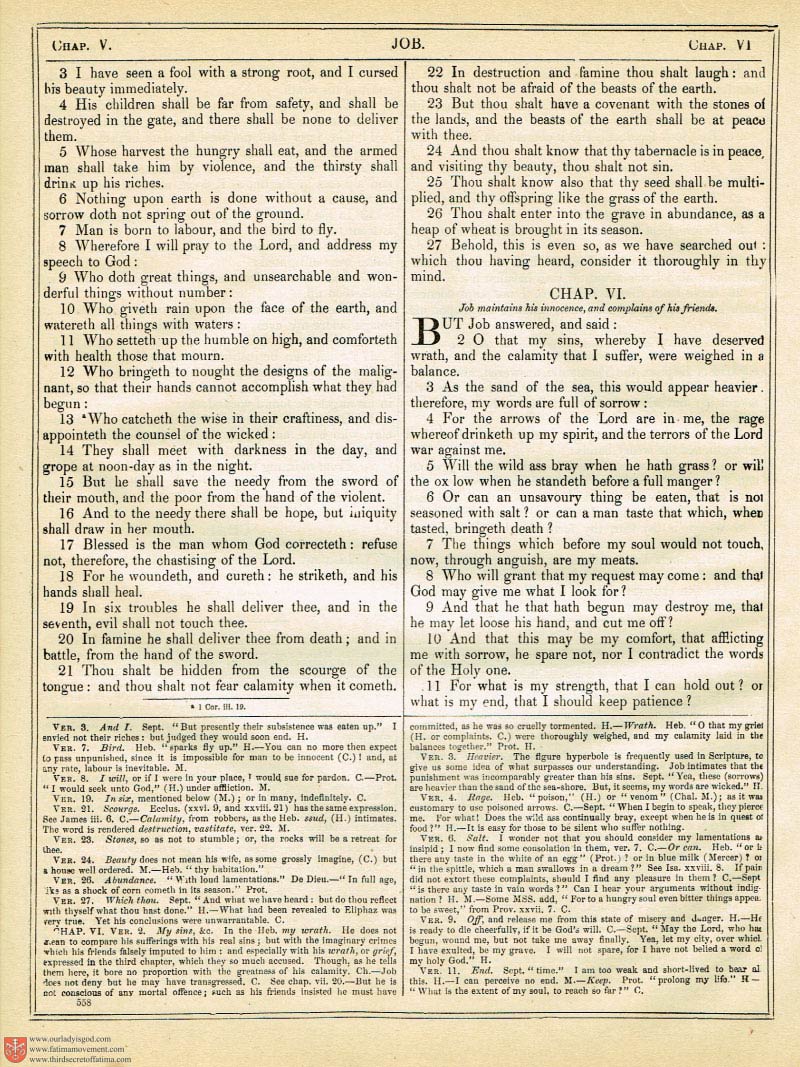 The Haydock Douay Rheims Bible page 0893