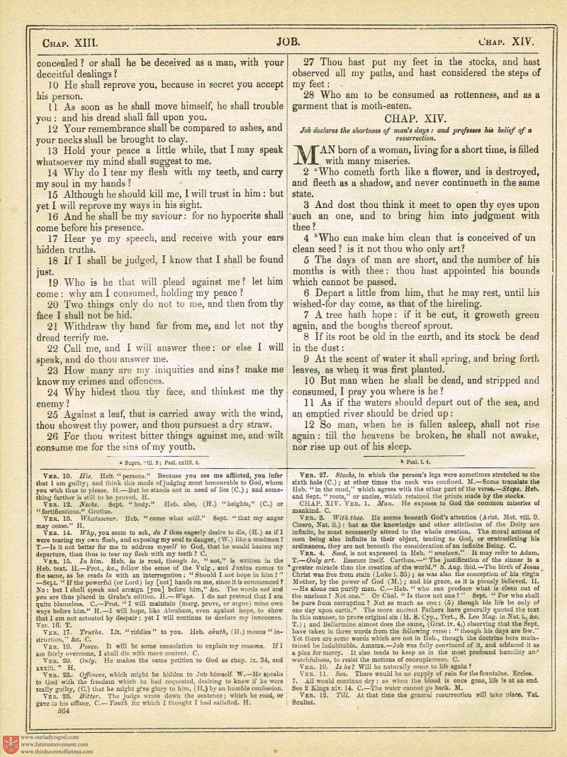 The Haydock Douay Rheims Bible page 0899