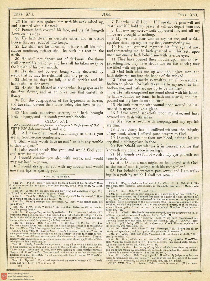 The Haydock Douay Rheims Bible page 0901