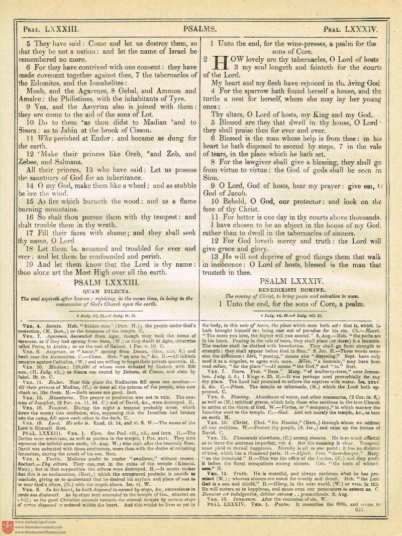 The Haydock Douay Rheims Bible page 0985