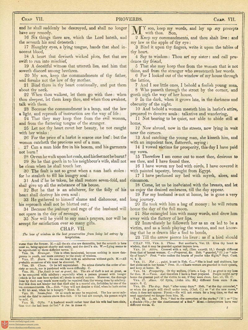 The Haydock Douay Rheims Bible page 1031