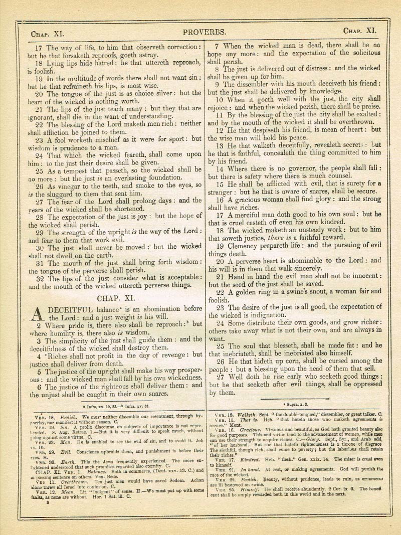 The Haydock Douay Rheims Bible page 1034