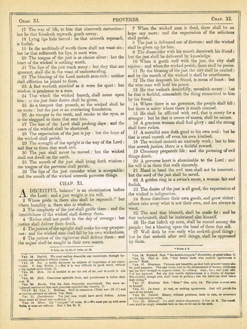The Haydock Douay Rheims Bible page 0000
