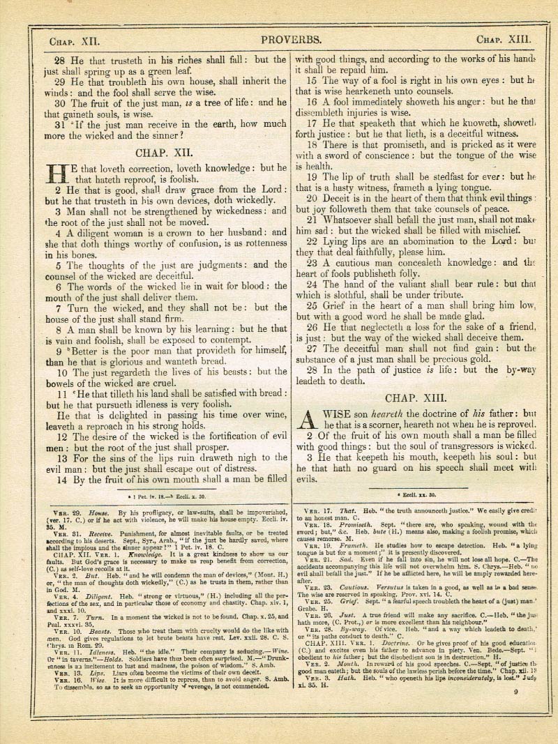 The Haydock Douay Rheims Bible page 1035