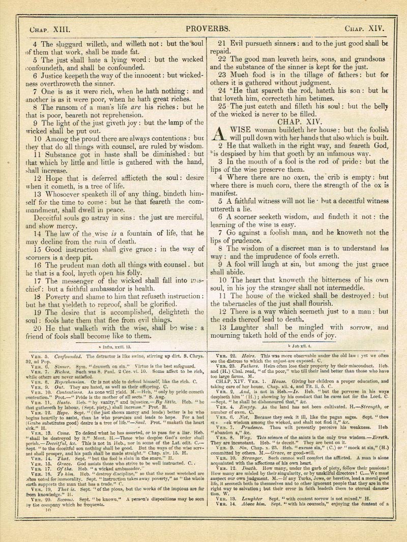 The Haydock Douay Rheims Bible page 1036