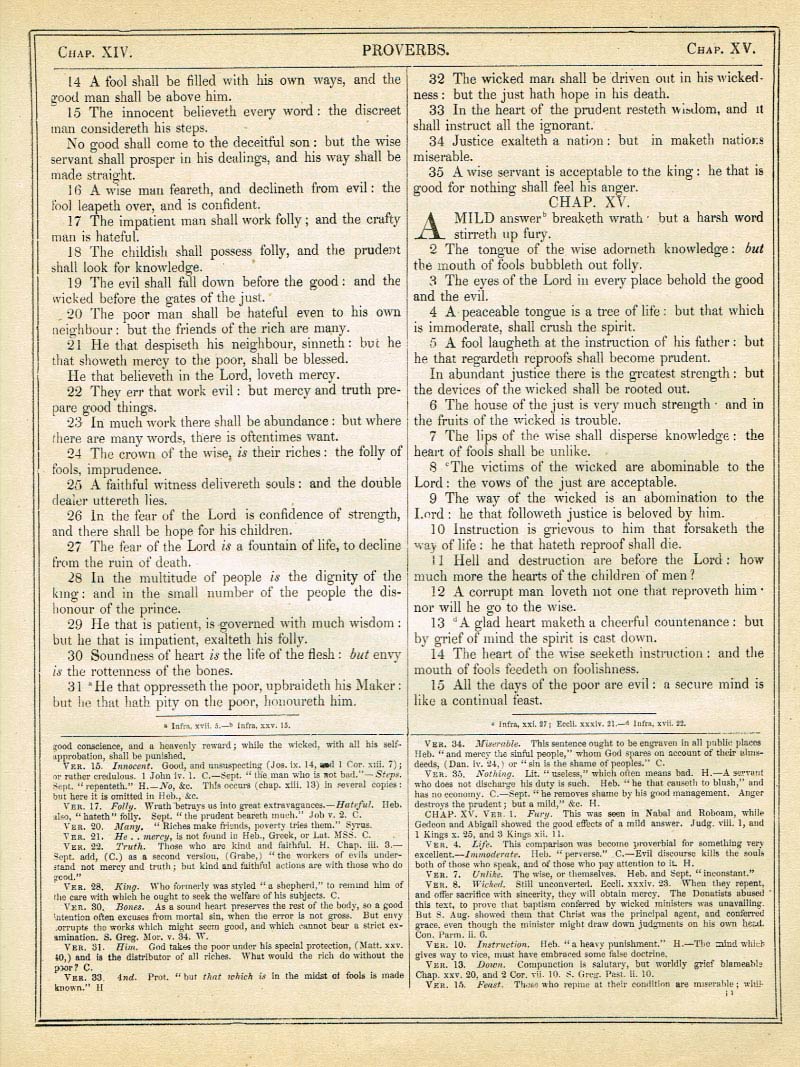 The Haydock Douay Rheims Bible page 1037