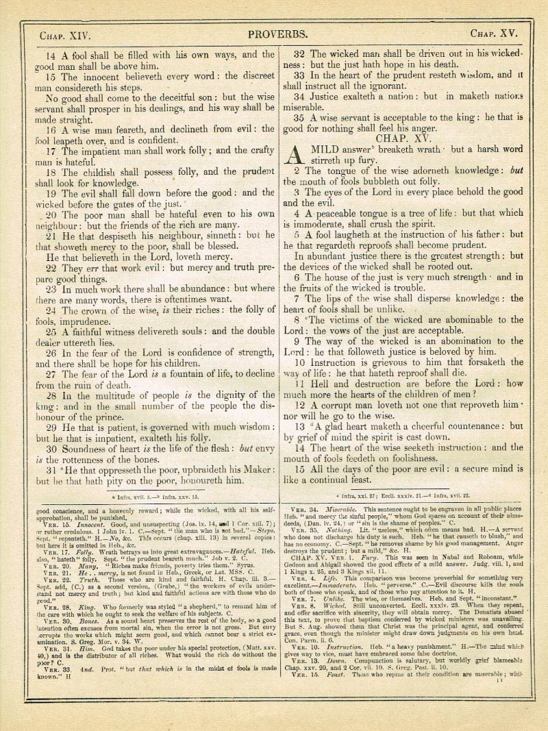 The Haydock Douay Rheims Bible page 0000