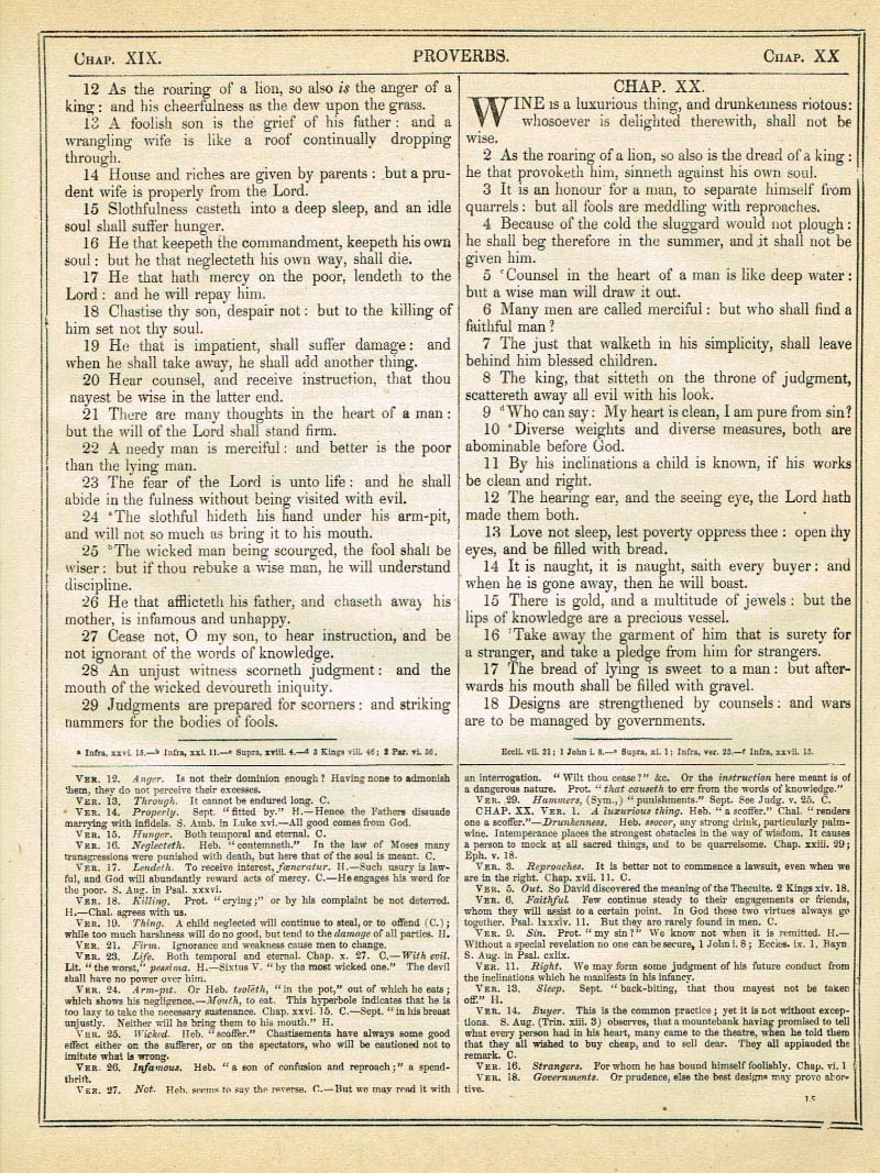 The Haydock Douay Rheims Bible page 1041