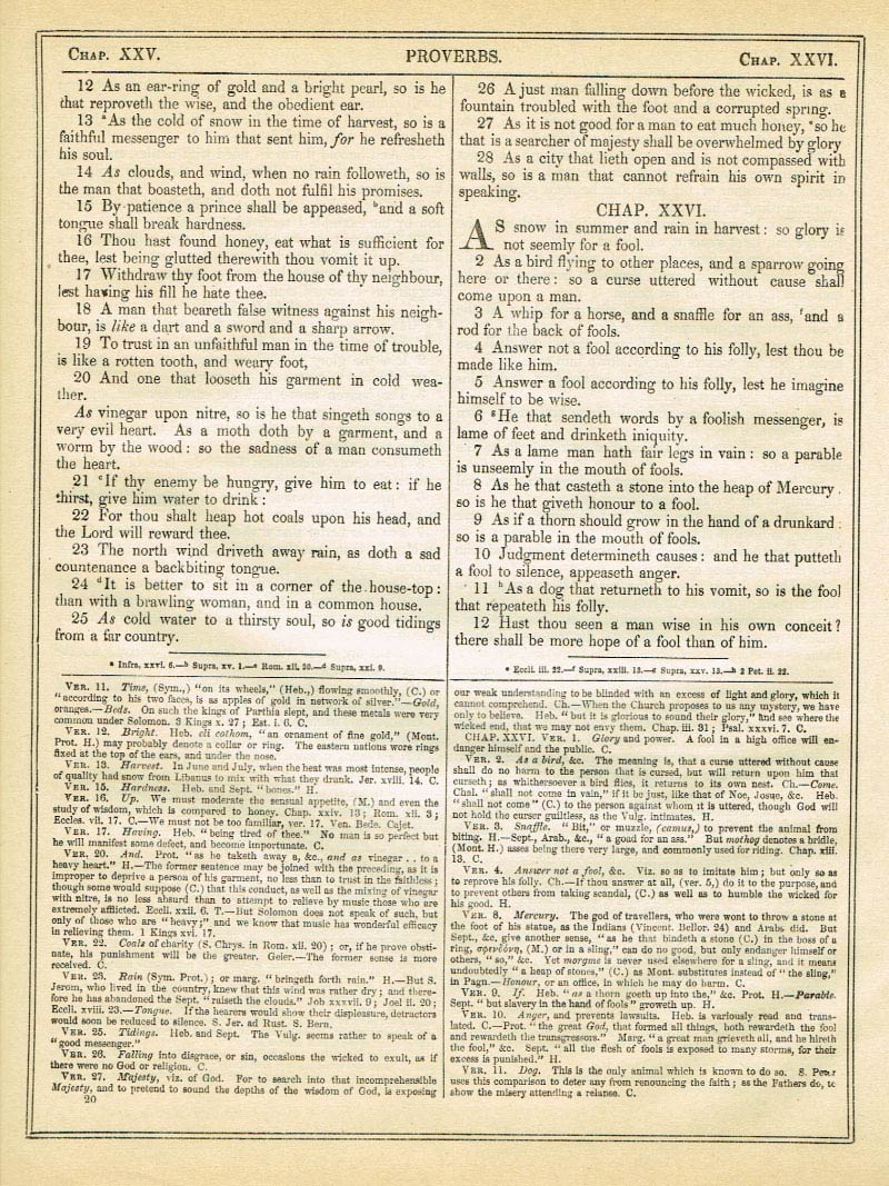 The Haydock Douay Rheims Bible page 1046