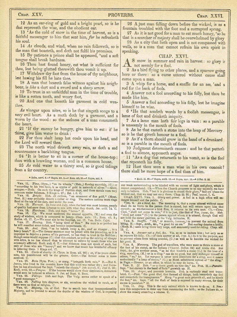 The Haydock Douay Rheims Bible page 0000