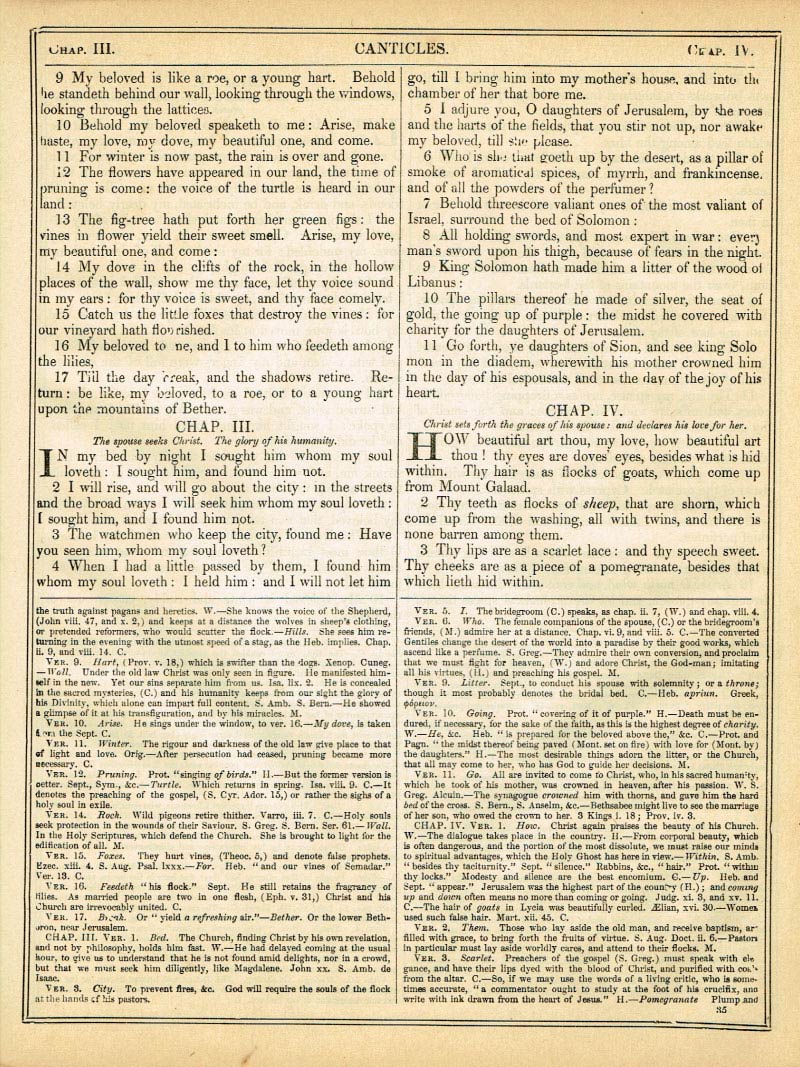 The Haydock Douay Rheims Bible page 1061