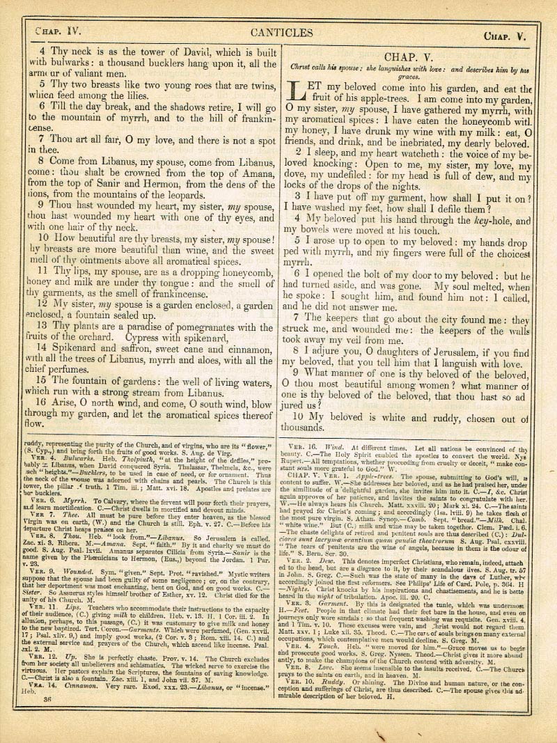 The Haydock Douay Rheims Bible page 1062