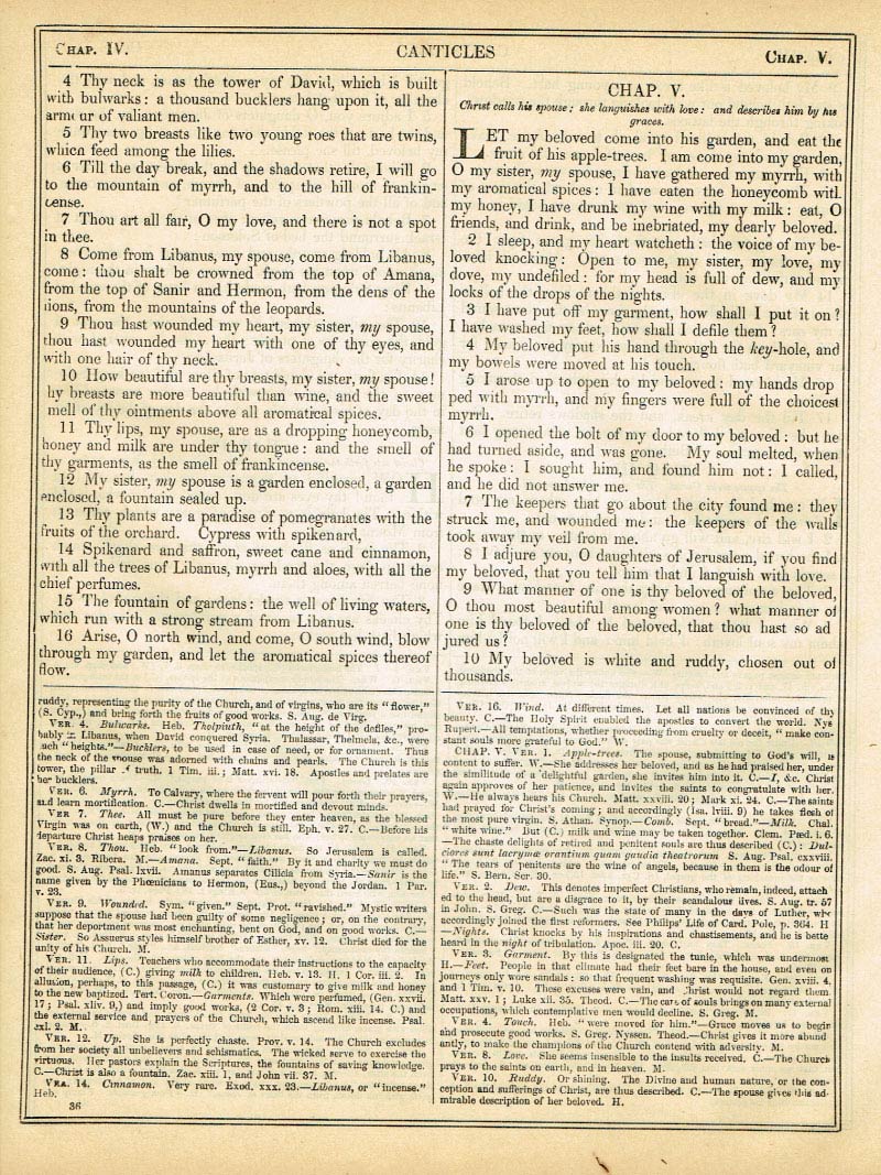 The Haydock Douay Rheims Bible page 0000