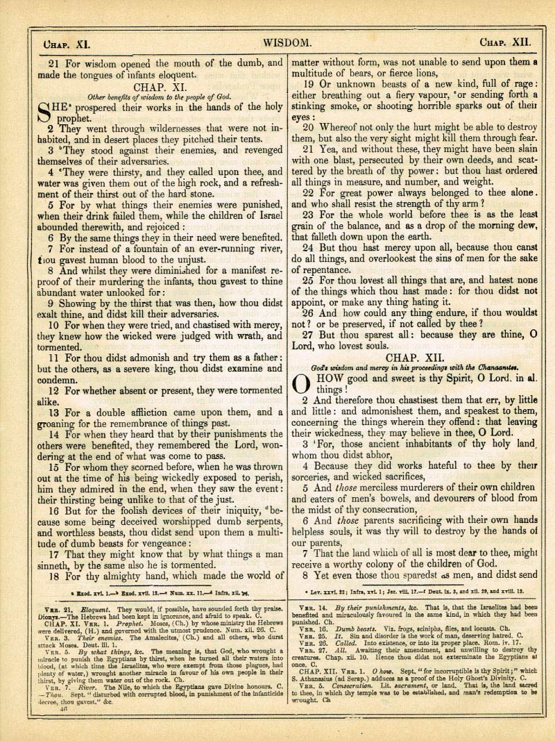 The Haydock Douay Rheims Bible page 1072