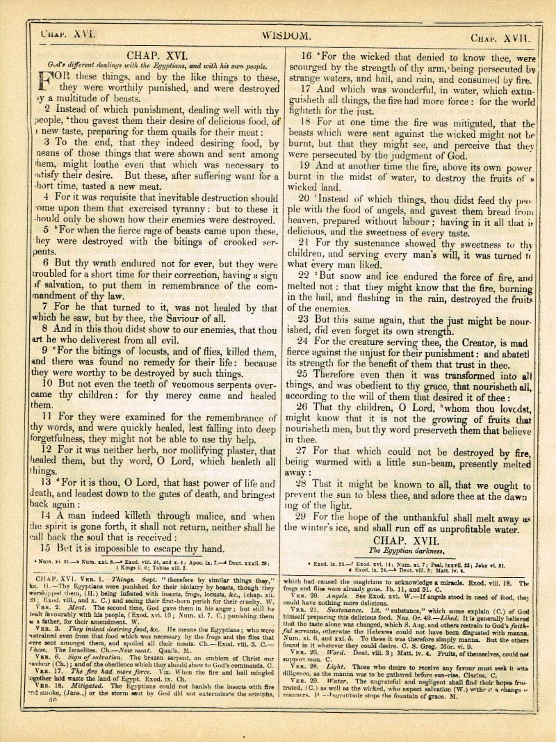 The Haydock Douay Rheims Bible page 1076