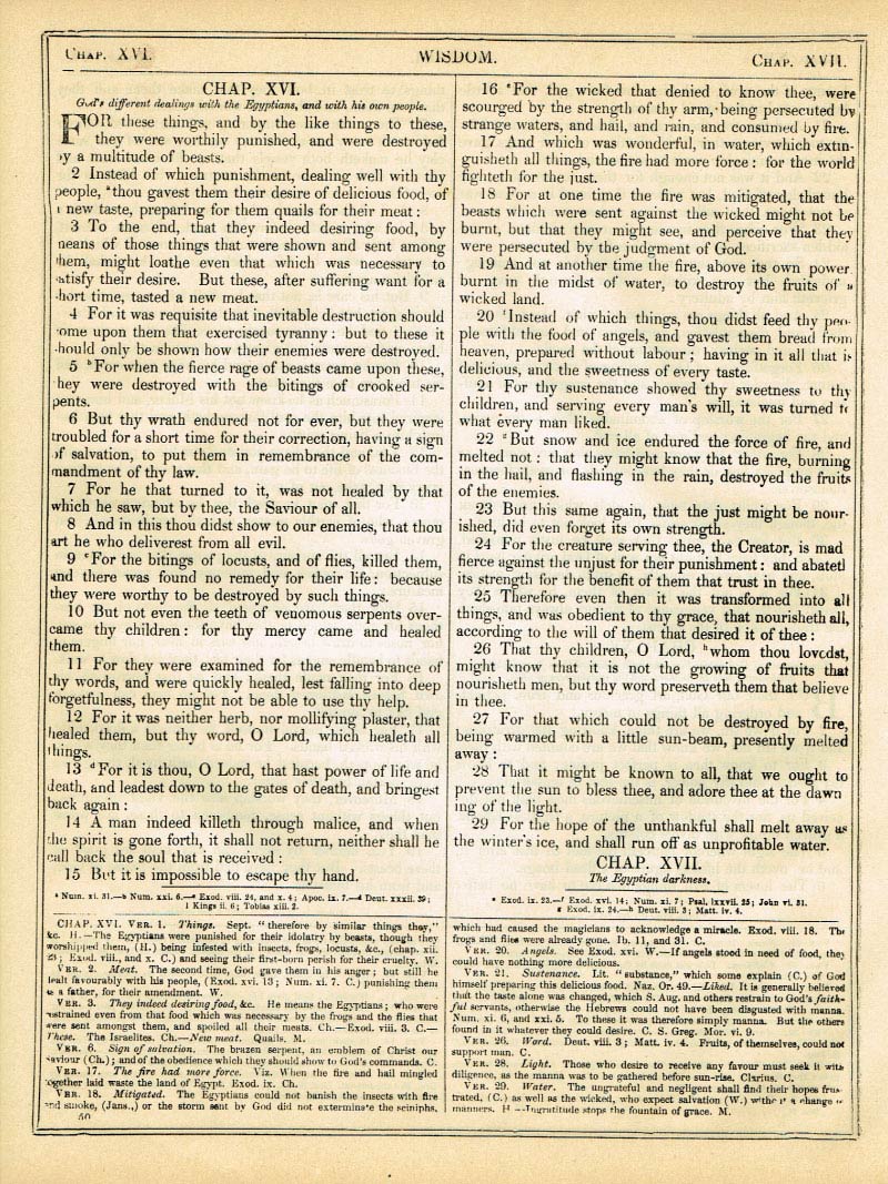 The Haydock Douay Rheims Bible page 0000