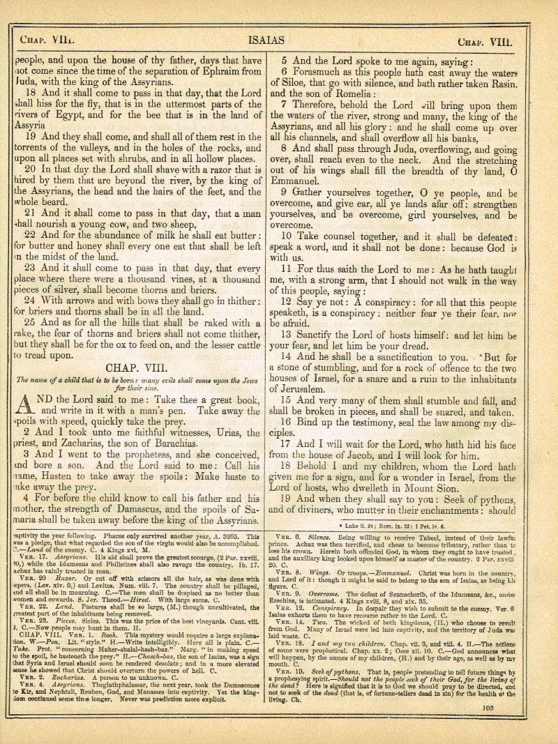 The Haydock Douay Rheims Bible page 1129