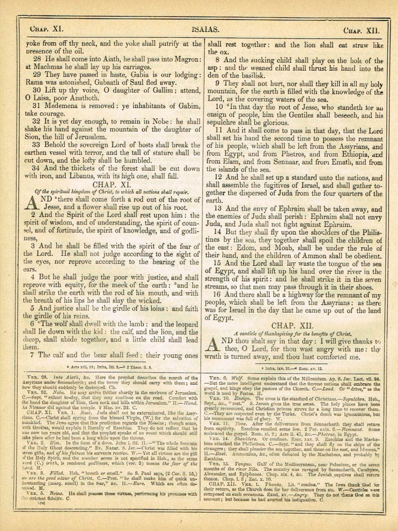 The Haydock Douay Rheims Bible page 1132