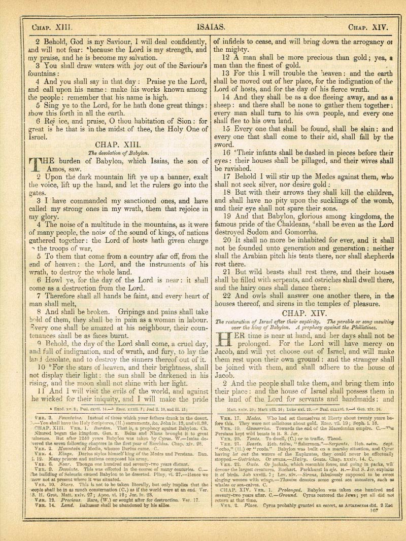 The Haydock Douay Rheims Bible page 1133