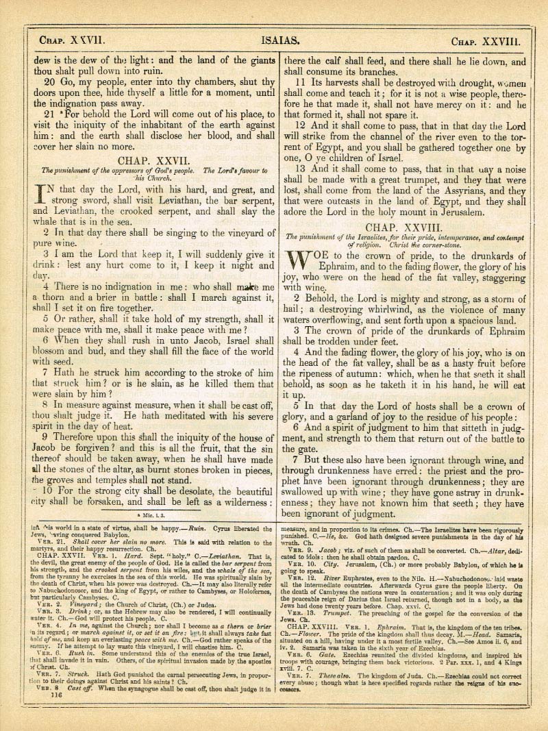 The Haydock Douay Rheims Bible page 1142