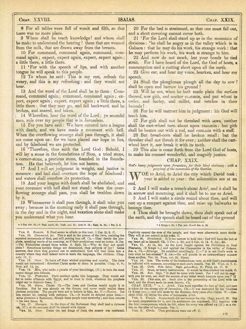 The Haydock Douay Rheims Bible page 0000
