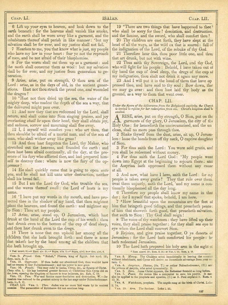 The Haydock Douay Rheims Bible page 1161