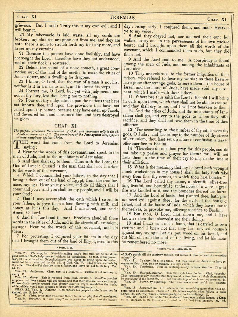 The Haydock Douay Rheims Bible page 0000