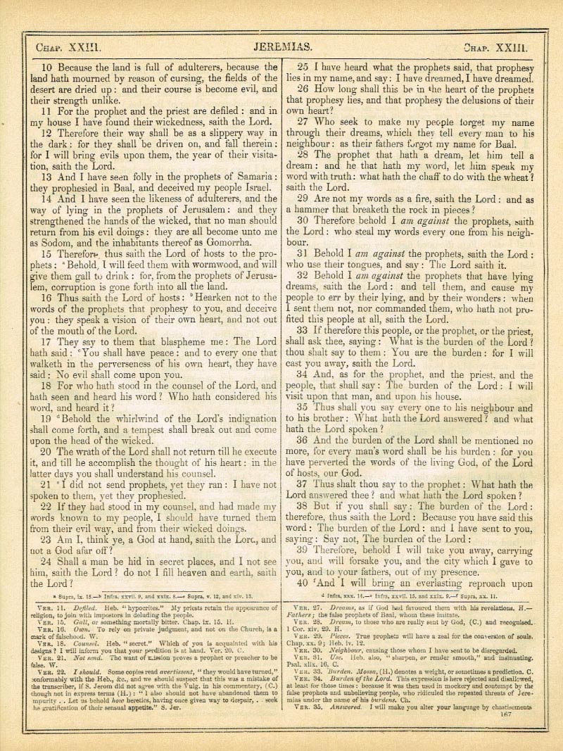 The Haydock Douay Rheims Bible page 1193