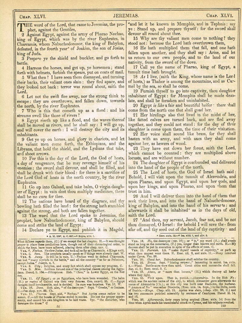 The Haydock Douay Rheims Bible page 1215