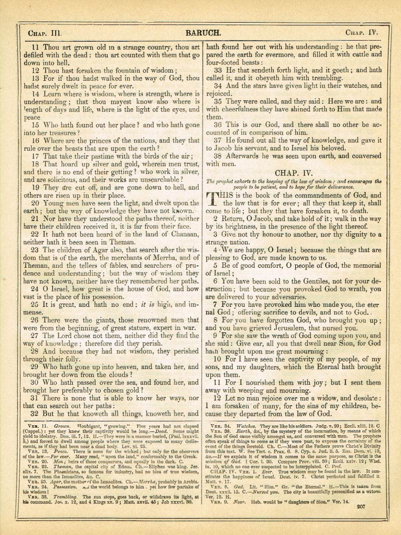 The Haydock Douay Rheims Bible page 1233
